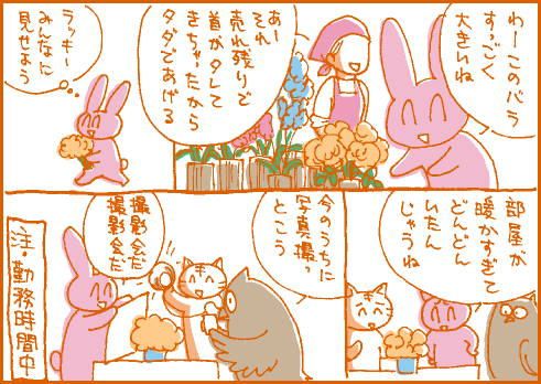 Nミマンガ