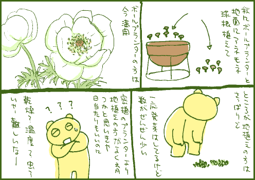 開花マンガ