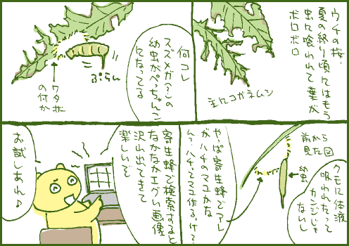 幼虫マンガ