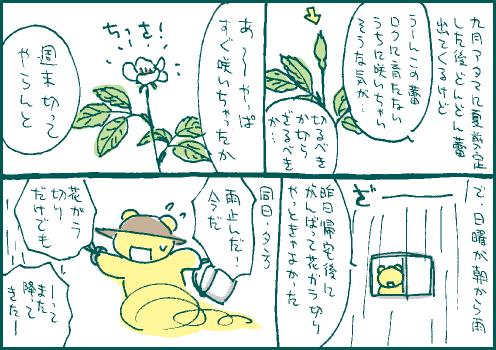 開花マンガ