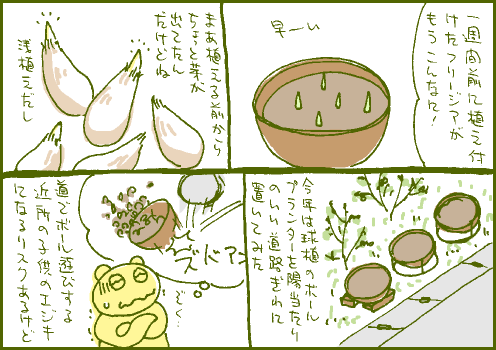 発芽マンガ