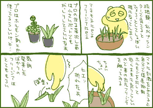 失敗マンガ