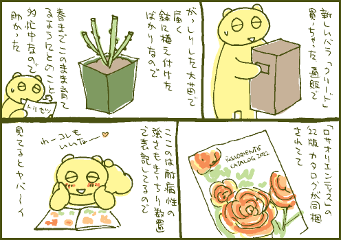 大苗マンガ