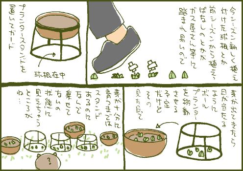 保護マンガ