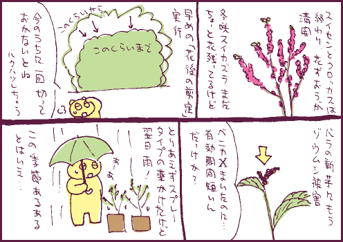 開花マンガ