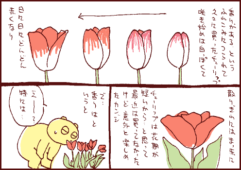 変化マンガ