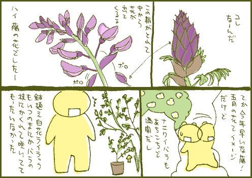 開花マンガ