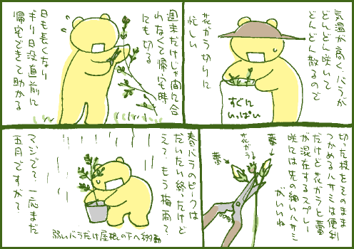 剪定マンガ