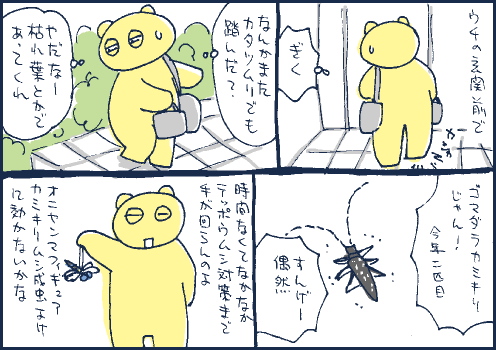 偶然マンガ