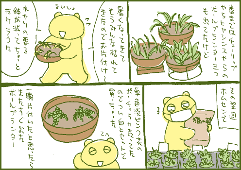 鉢植マンガ