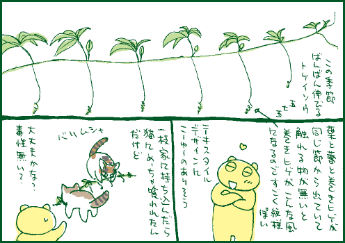 紋様マンガ