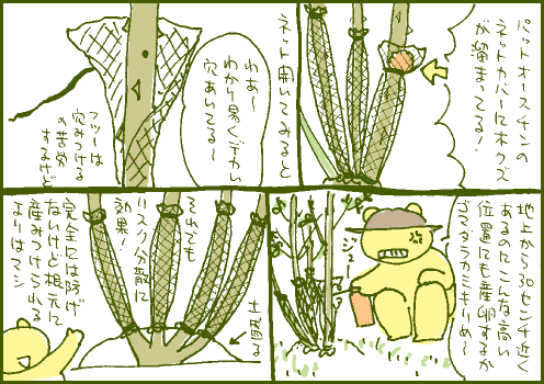 発覚マンガ