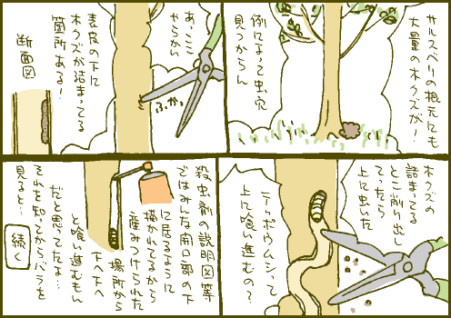 発見マンガ