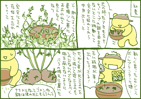 発芽マンガ