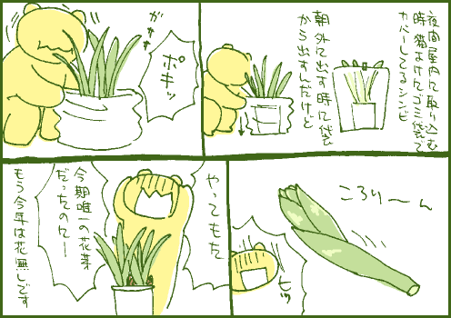 皆無マンガ