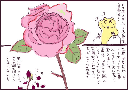 開花マンガ