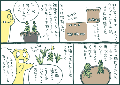 減少マンガ