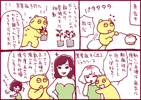 性質マンガ