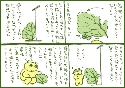 梅雨マンガ