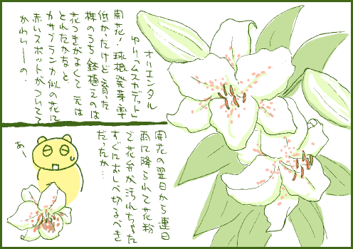 梅雨マンガ