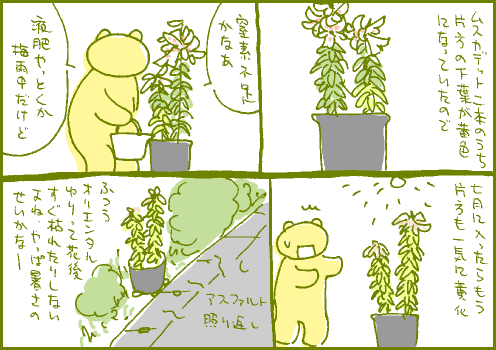 猛暑マンガ