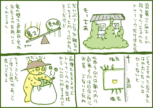 耐暑マンガ