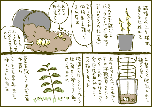 秋植マンガ