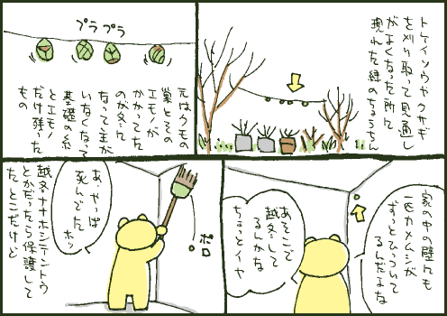 蜘蛛マンガ