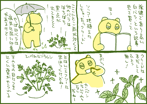 強健マンガ
