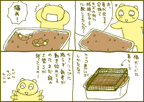 春マンガ