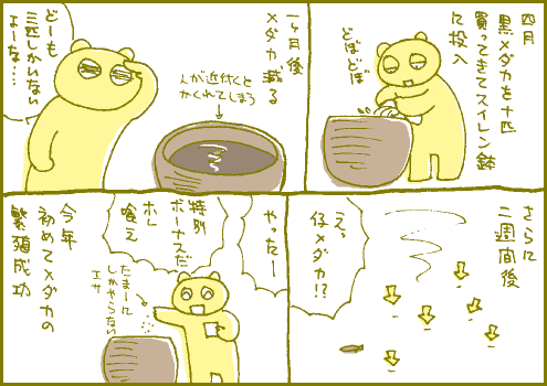 増減マンガ