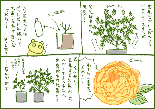 バラマンガ