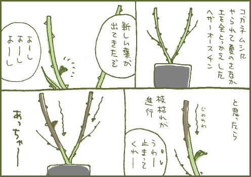 手当てマンガ2