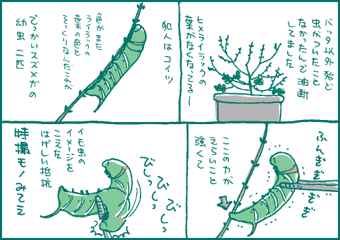 害虫マンガ