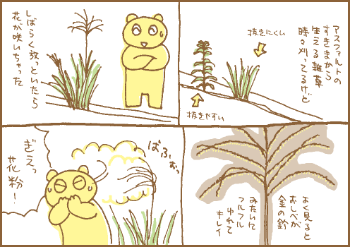 雑草マンガ