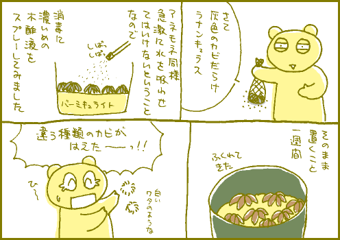 球根マンガ