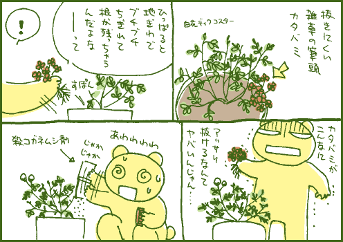 雑草マンガ