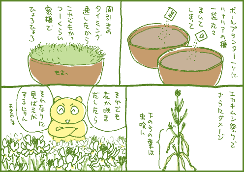 結果マンガ