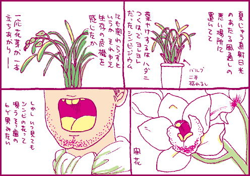 錯覚マンガ