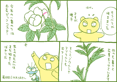 開始マンガ