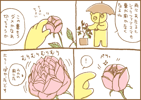 開花マンガ