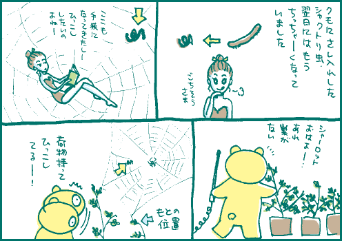 蜘蛛マンガ2