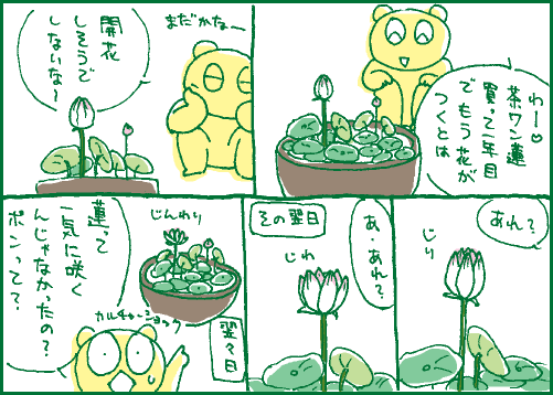 蓮マンガ