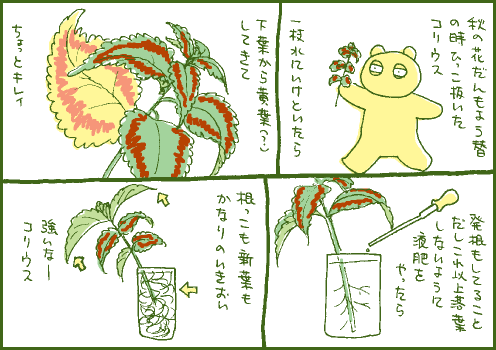 水耕マンガ