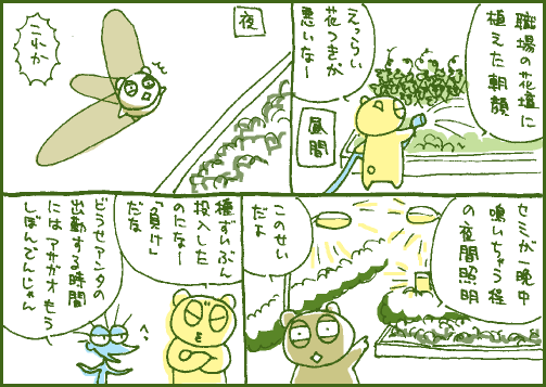 朝顔マンガ