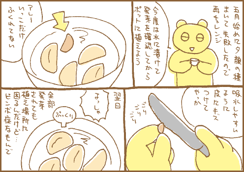 発芽マンガ