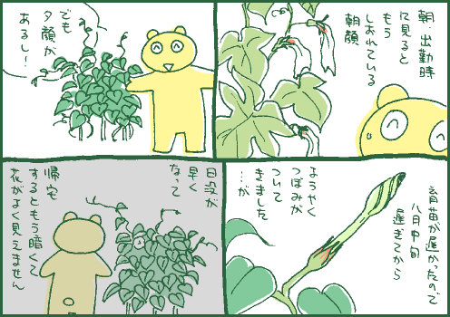 開花マンガ