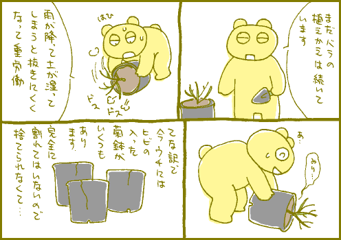 菊鉢マンガ