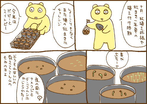 播種マンガ