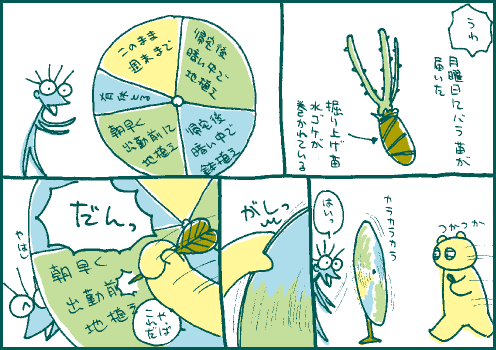 定植マンガ3